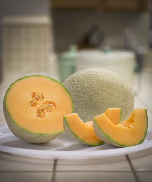 Cantaloupe Scented Candle