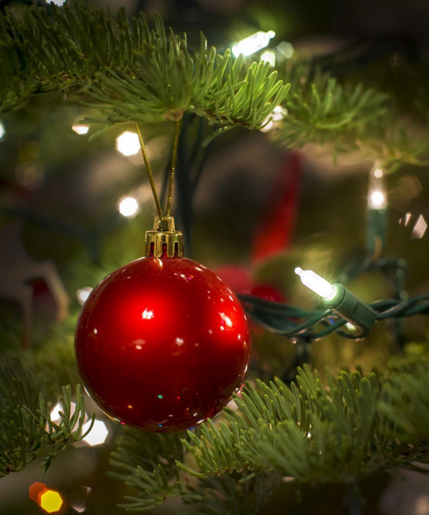 Christmas Tree Scented Candle Sierra Mountain Candle Co