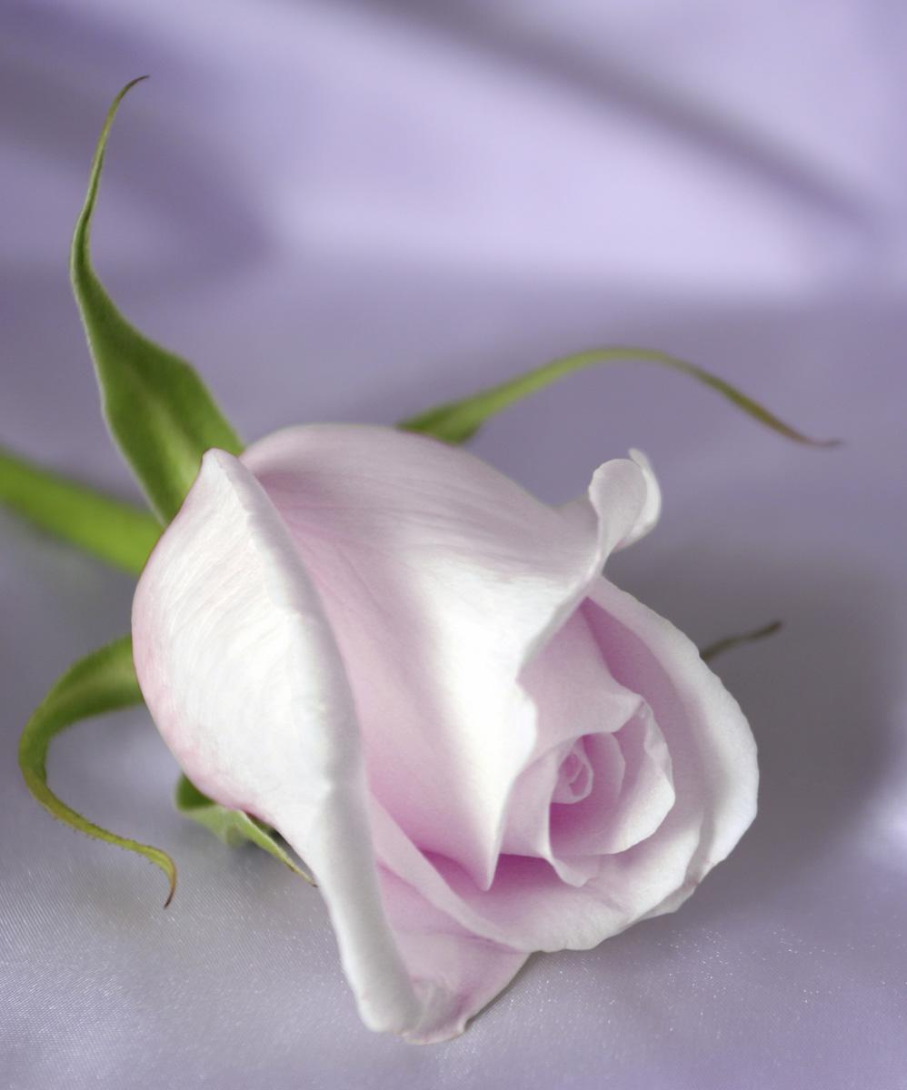 Love Spell Scented Candle