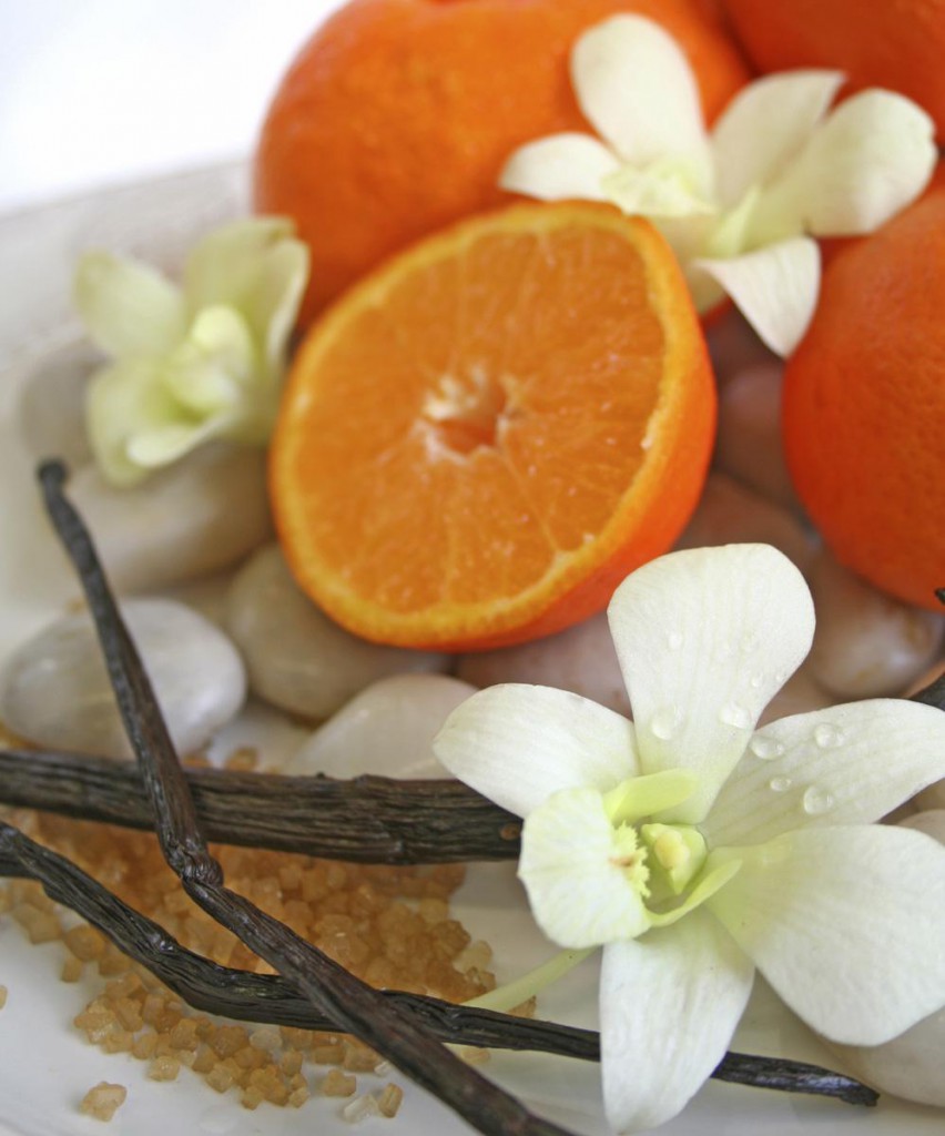 Orange Vanilla Scented Candle Sierra Mountain Candle Co