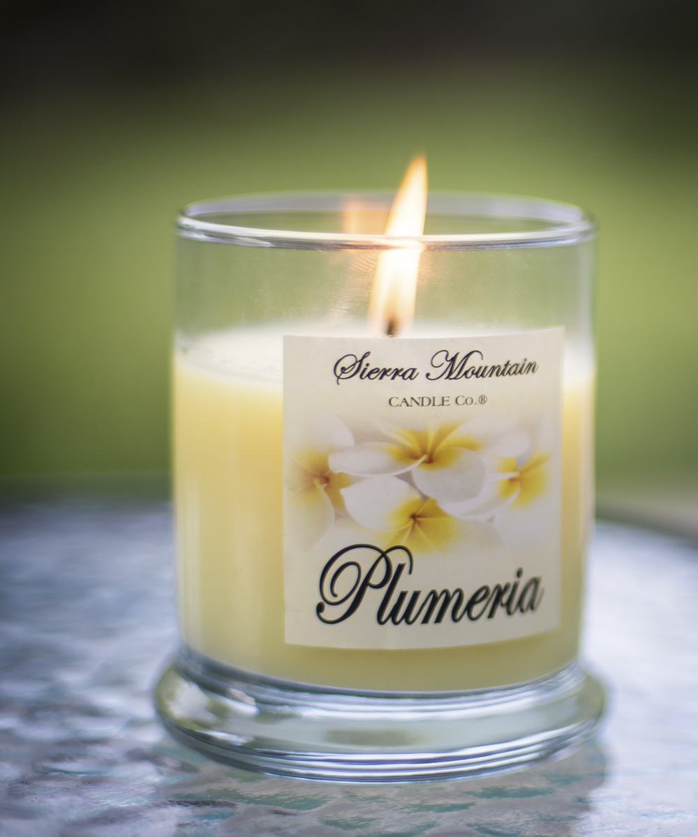 Sierra Mountain Candle Co Premium Richly Scented Candles, Highly