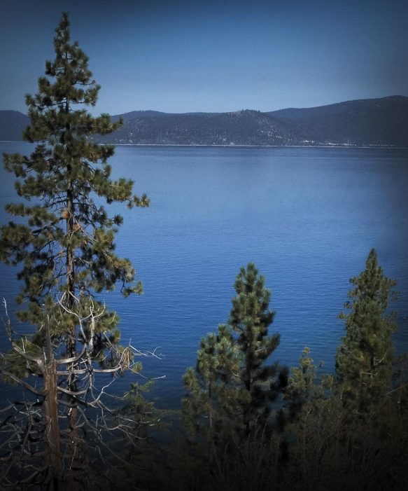Lake Tahoe Blue Scented Candle