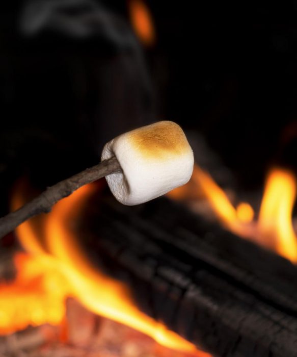 Toasted Marshmallows Scented Candle