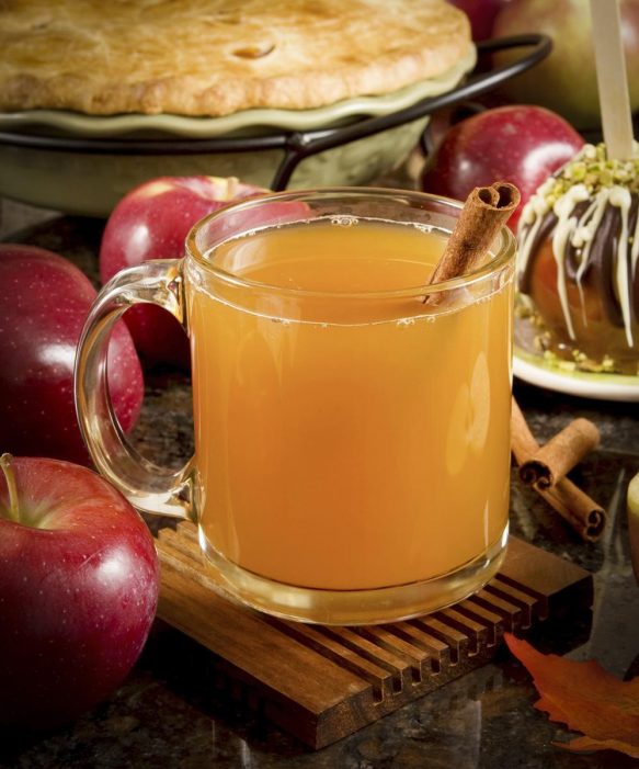 Warm Apple Cider Scented Candle